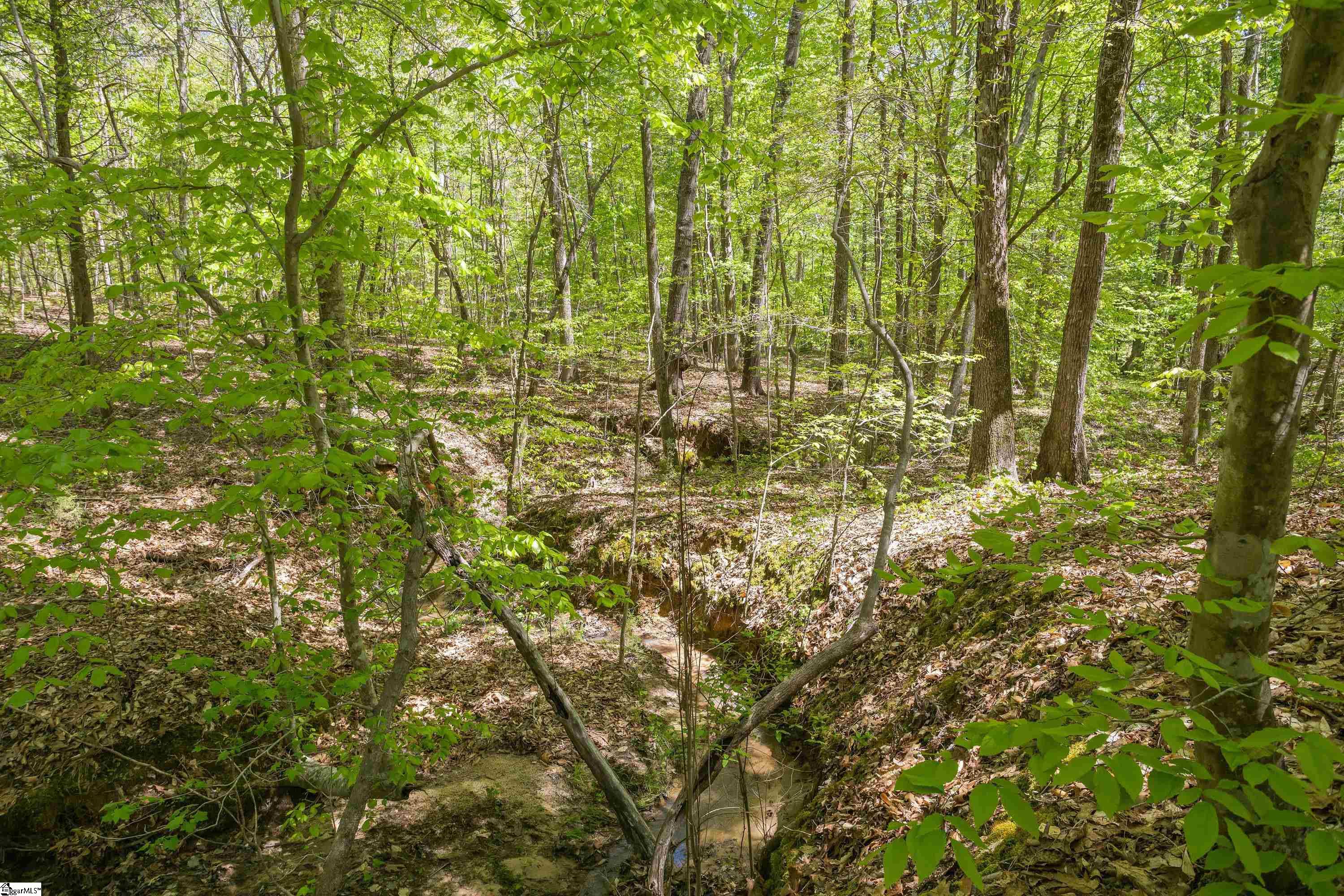 0 Lake Road, Unit LOT 6 Clinton, SC 29325 - Photo 8 of 24