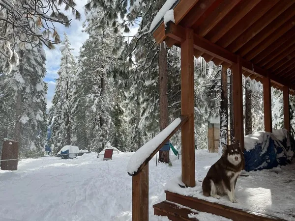 a view of a couches and dinning table and chairs in the patio