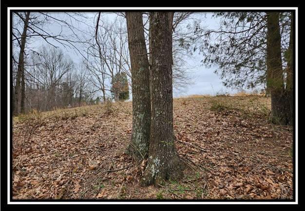 0 Metheny Fairplay Road, Unit TRACT 1) Vinton, OH 45686 - Photo 31 of 41 image030