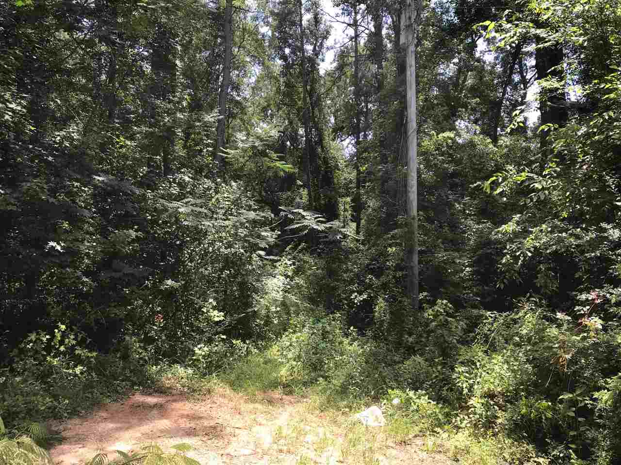 Xx Scott Tower Road Tallahassee, FL 32312 - Photo 13 of 13 Gallery Image 13