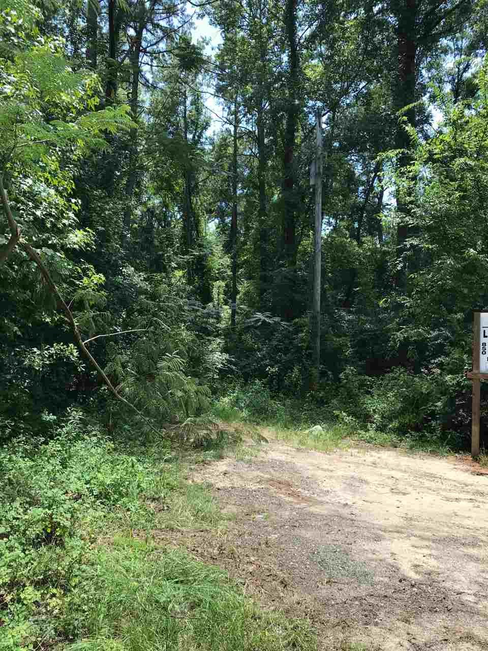 Xx Scott Tower Road Tallahassee, FL 32312 - Photo 3 of 13 Gallery Image 3