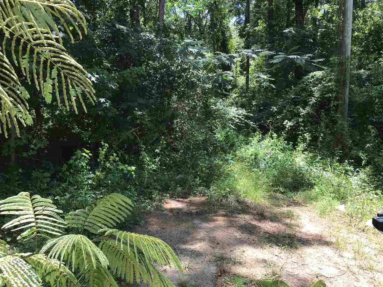 Xx Scott Tower Road Tallahassee, FL 32312 - Photo 9 of 13 Gallery Image 9