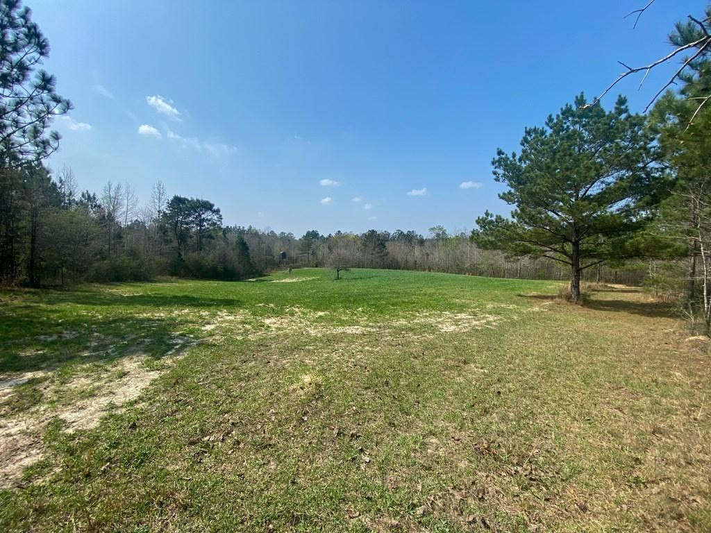 3947 Purvis Columbia Road Columbia, MS 39429 - Photo 7 of 8 Photo 7
