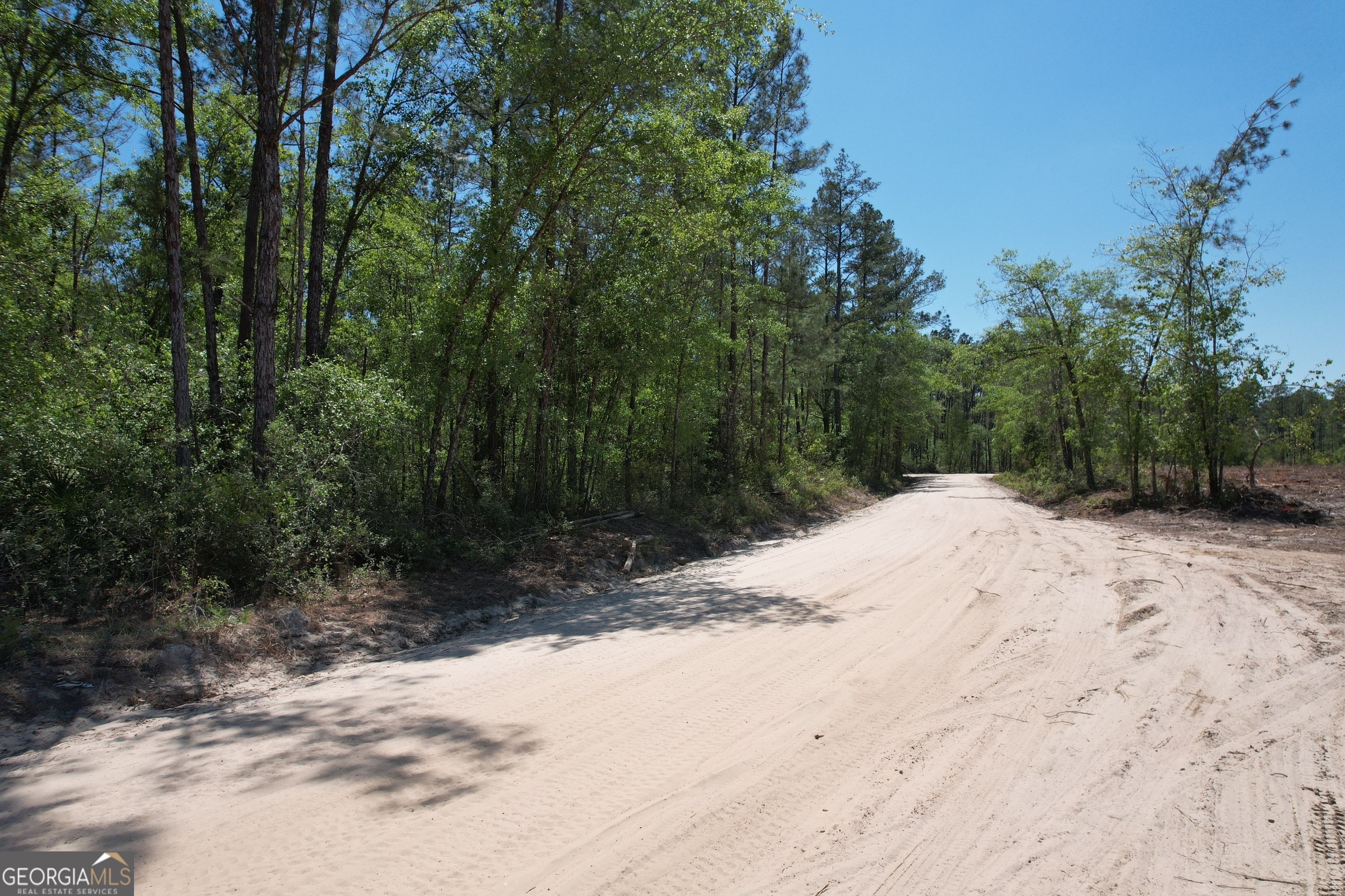 0 Duncan Bridge Road Millwood, GA 31552 - Photo 5 of 6