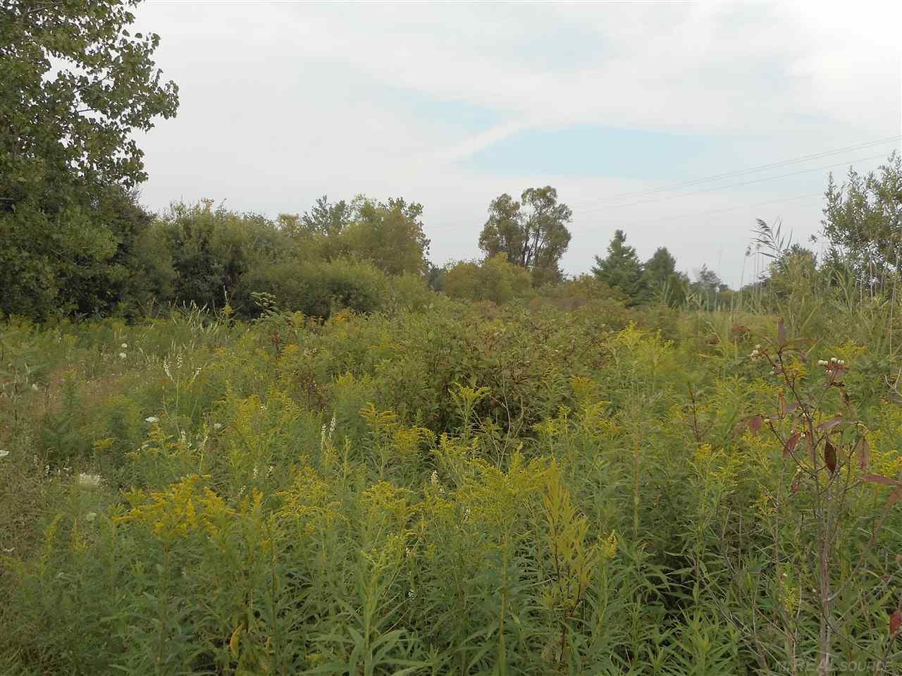 Vl Jordan Road Melvin, MI 48454 - Photo 4 of 22