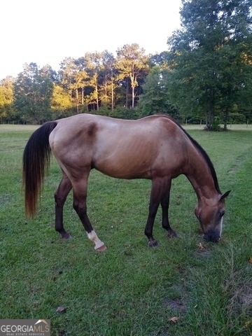 531 Grant Road Brooks, GA 30205 - Photo 12 of 98