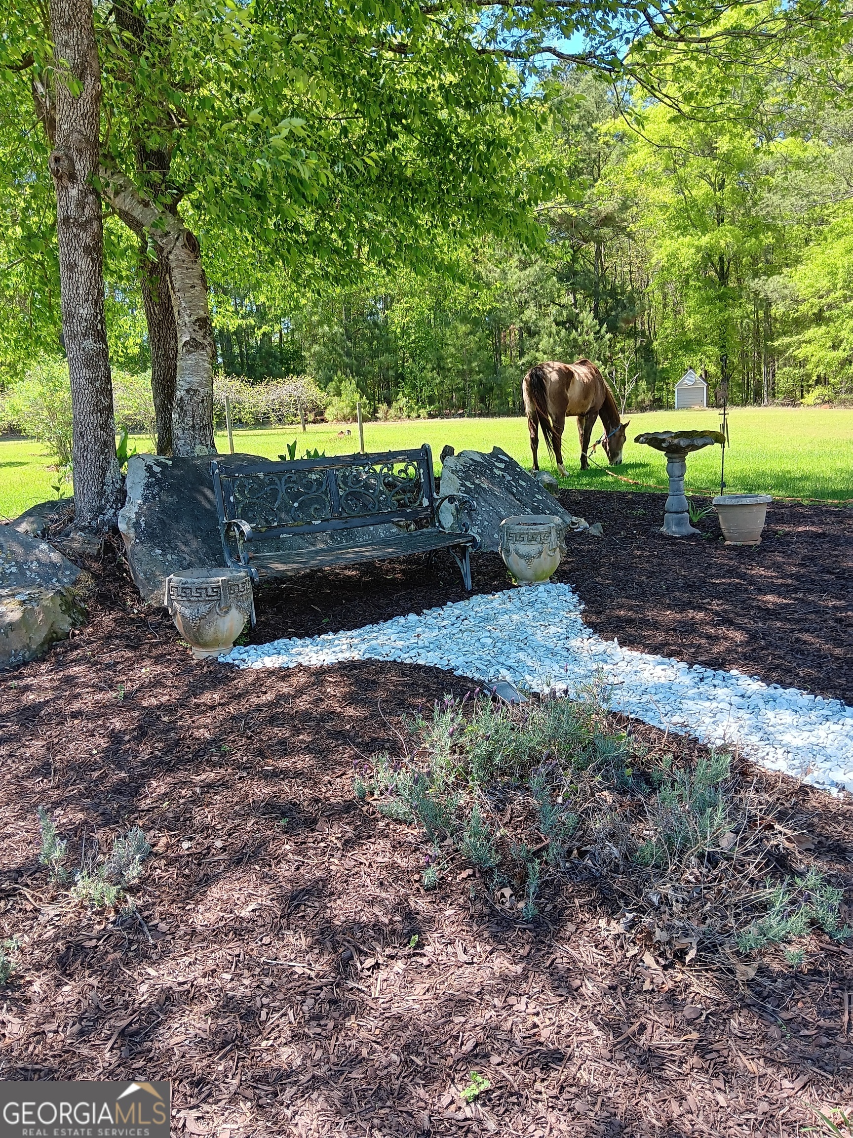 531 Grant Road Brooks, GA 30205 - Photo 6 of 98 Spring time