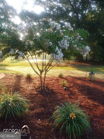 531 Grant Road Brooks, GA 30205 - Photo 68 of 92 a view of an outdoor space and yard