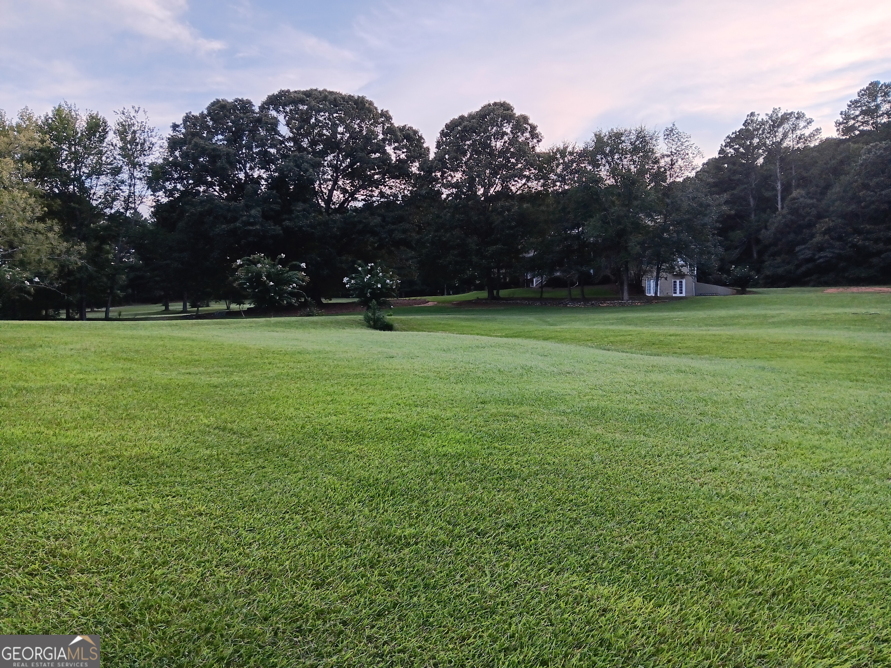 531 Grant Road Brooks, GA 30205 - Photo 7 of 96 a front view of a house with a yard and trees
