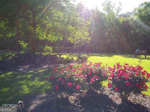 531 Grant Road Brooks, GA 30205 - Photo 75 of 98