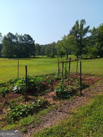 531 Grant Road Brooks, GA 30205 - Photo 76 of 92