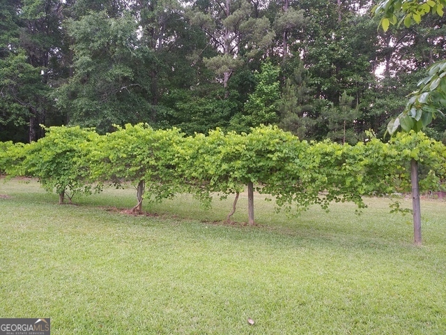 531 Grant Road Brooks, GA 30205 - Photo 83 of 92