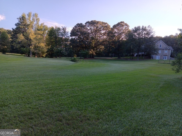 531 Grant Road Brooks, GA 30205 - Photo 87 of 92