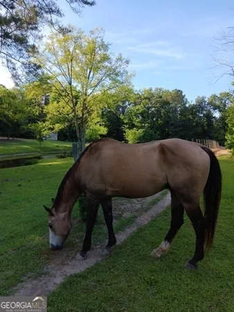 $1,377,000 | 531 Grant Road, Brooks, GA 30205