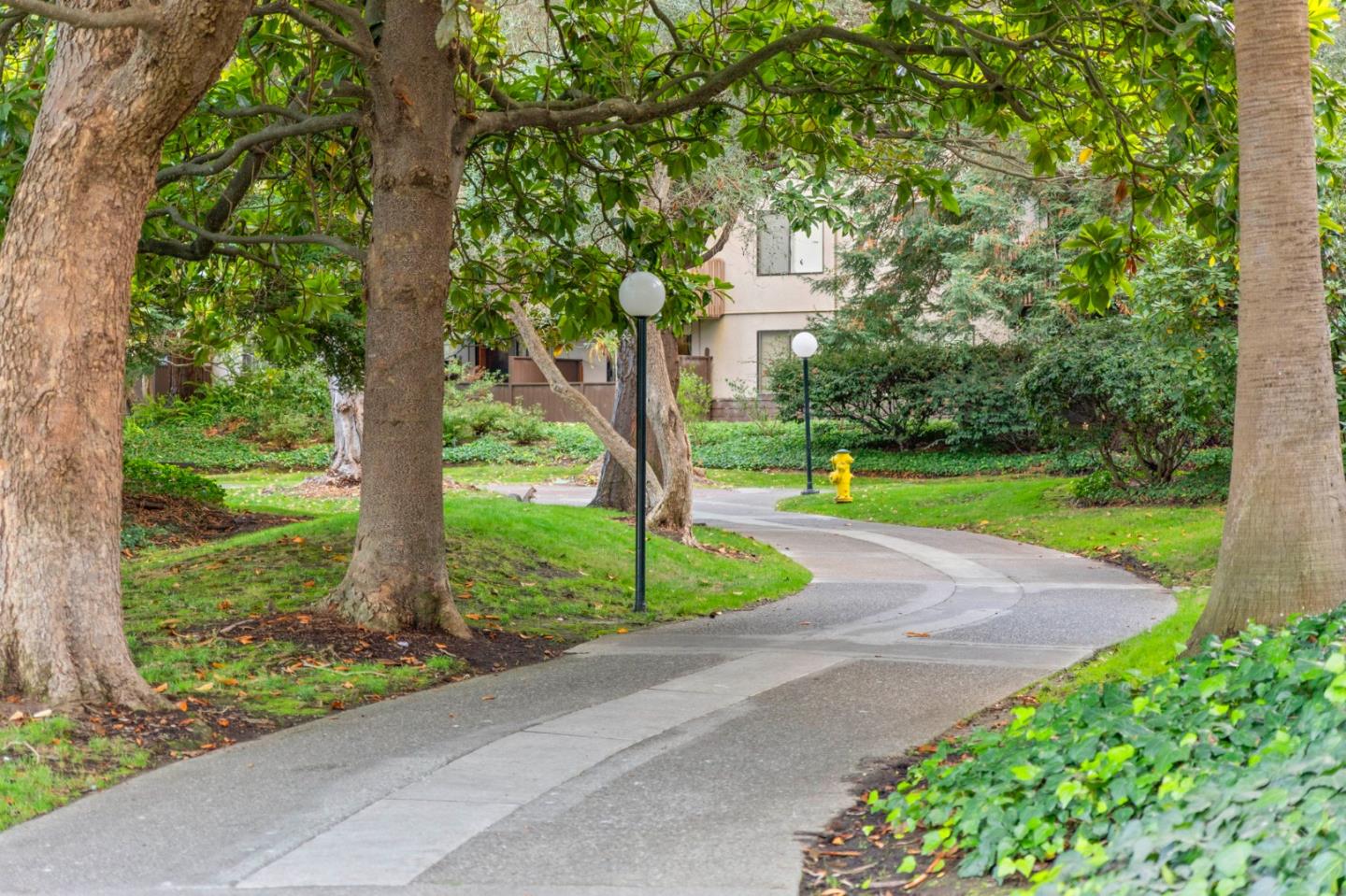a view of a park with large trees