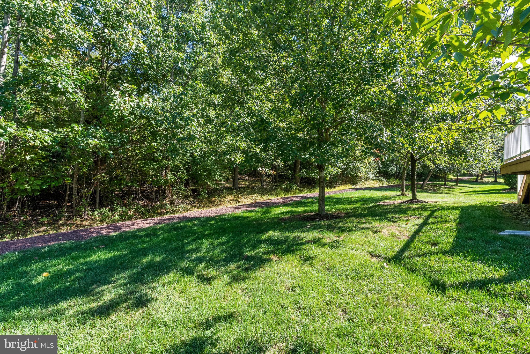 133 Sloan Road Phoenixville, PA 19460 - Photo 47 of 67 a view of a park with large trees
