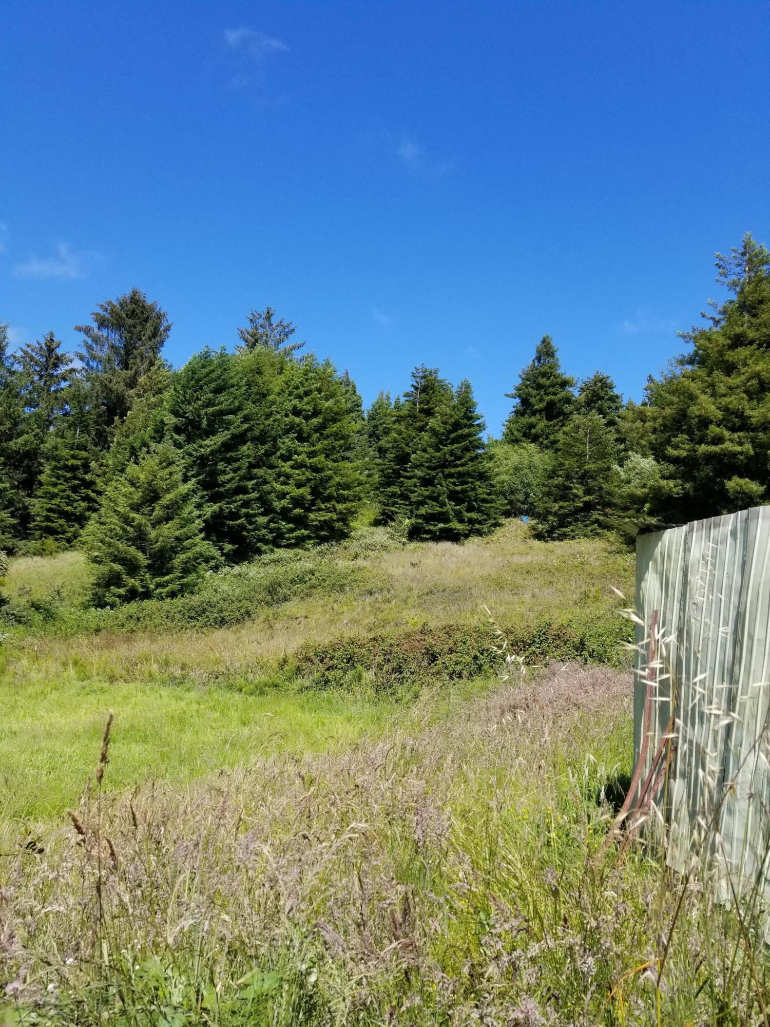 6227 Elk River Road Eureka, CA 95503 - Photo 34 of 41