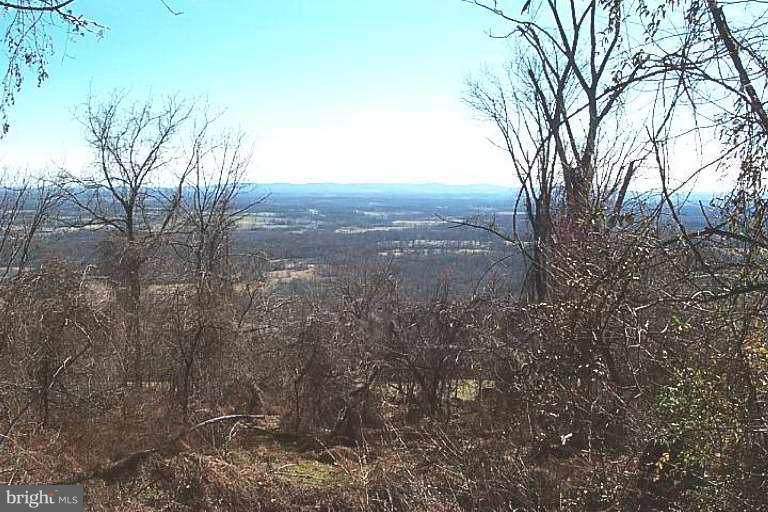 13 Foresthill Road Bluemont, VA 20135 - Photo 1 of 1 Exterior (Main)