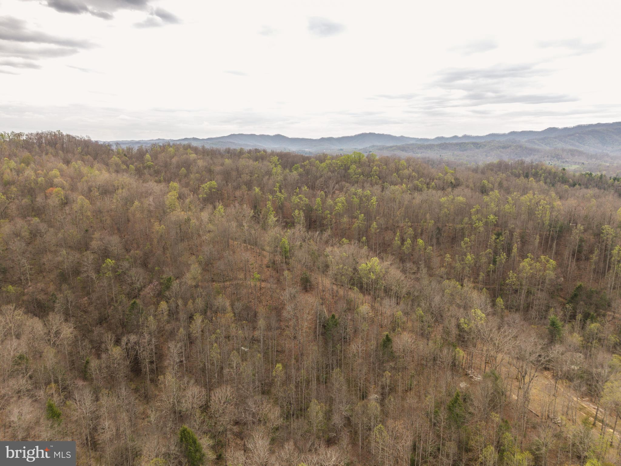 0 Pine Branch Road Glen Daniel, WV 25844 - Photo 11 of 26 a view of a mountain in the distance in a city