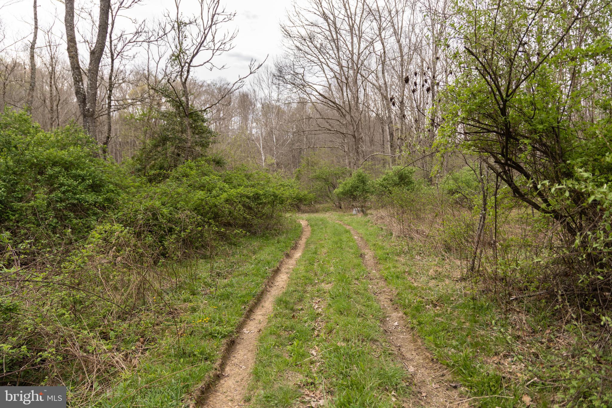 0 Pine Branch Road Glen Daniel, WV 25844 - Photo 16 of 26 a view of yard with green space