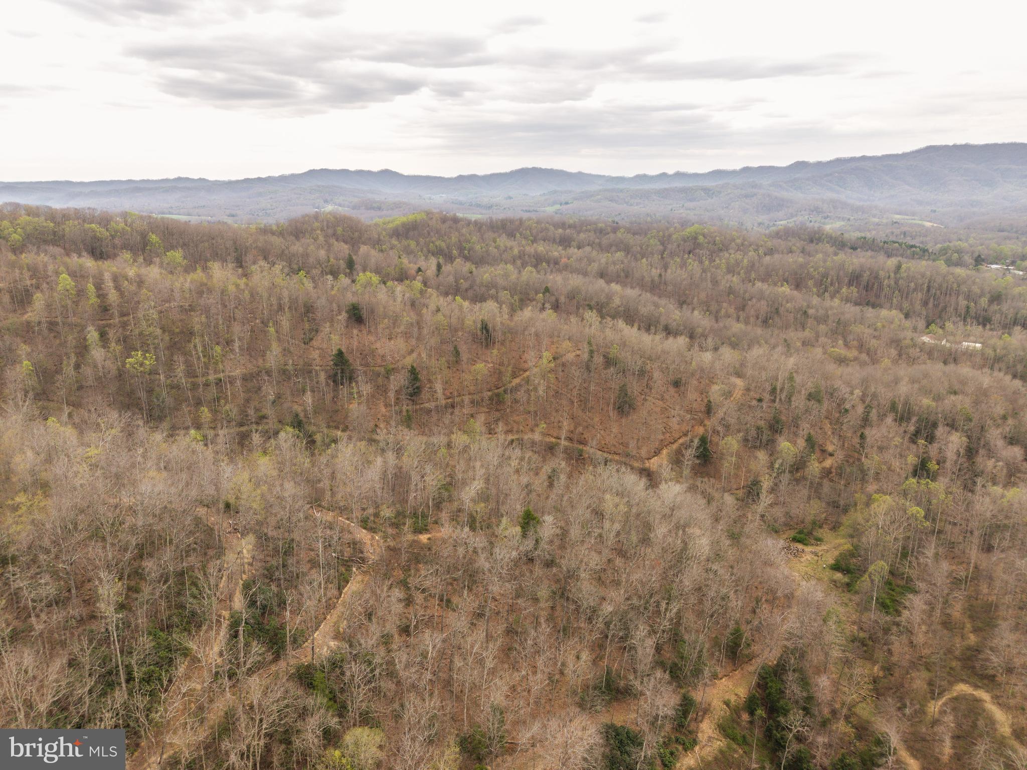 0 Pine Branch Road Glen Daniel, WV 25844 - Photo 20 of 26 a view of mountain view with mountains in the background