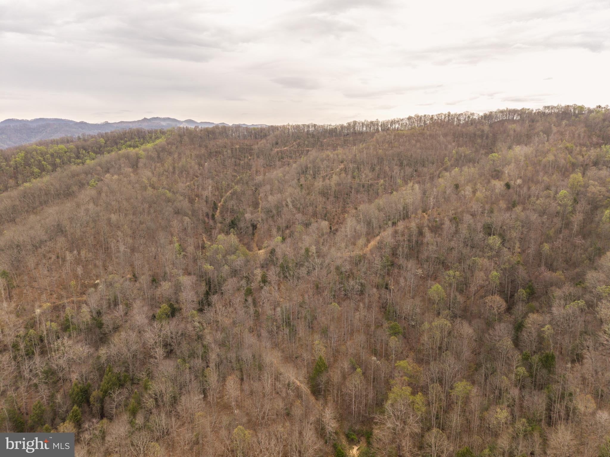 0 Pine Branch Road Glen Daniel, WV 25844 - Photo 21 of 26 a view of a mountain range with lush green forest