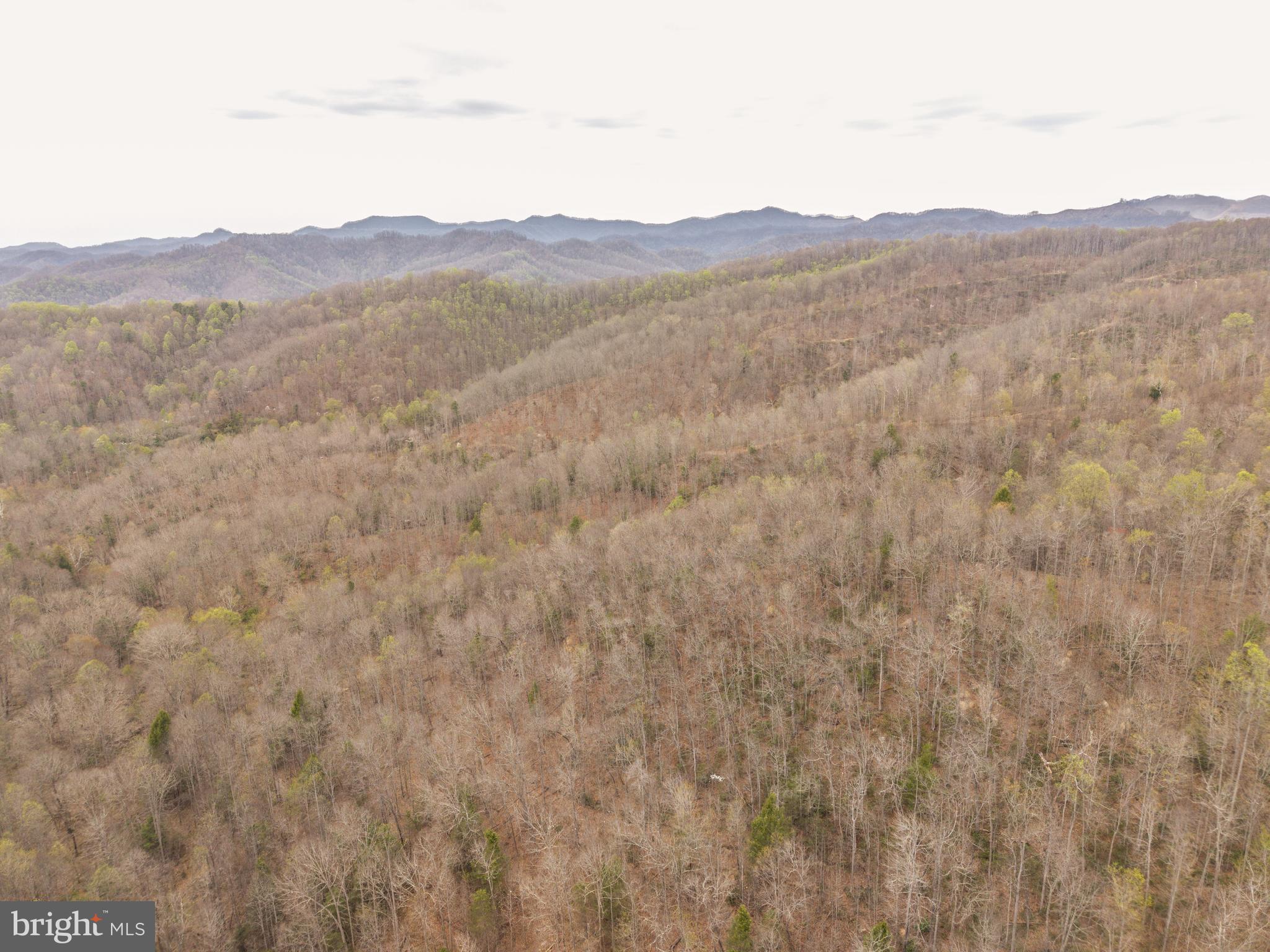 0 Pine Branch Road Glen Daniel, WV 25844 - Photo 4 of 26 a view of a forest with mountains in the background