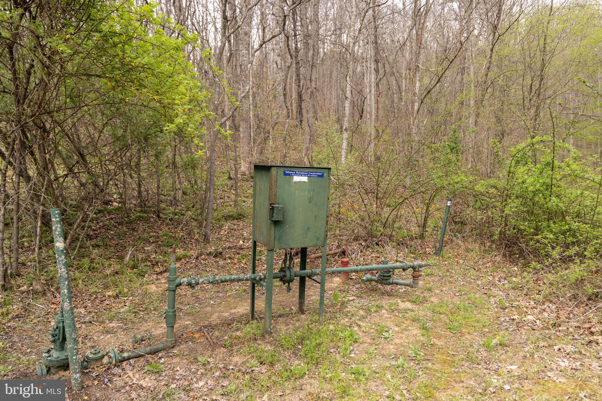 0 Pine Branch Road Glen Daniel, WV 25844 - Photo 5 of 26 a view of fountain along with trees