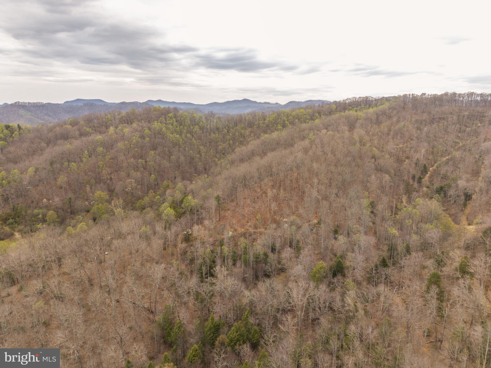 0 Pine Branch Road Glen Daniel, WV 25844 - Photo 7 of 26 a view of mountain view with mountains in the background