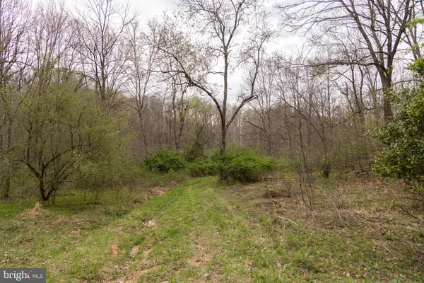 $111,040 | 0 Pine Branch Road, Glen Daniel, WV 25844