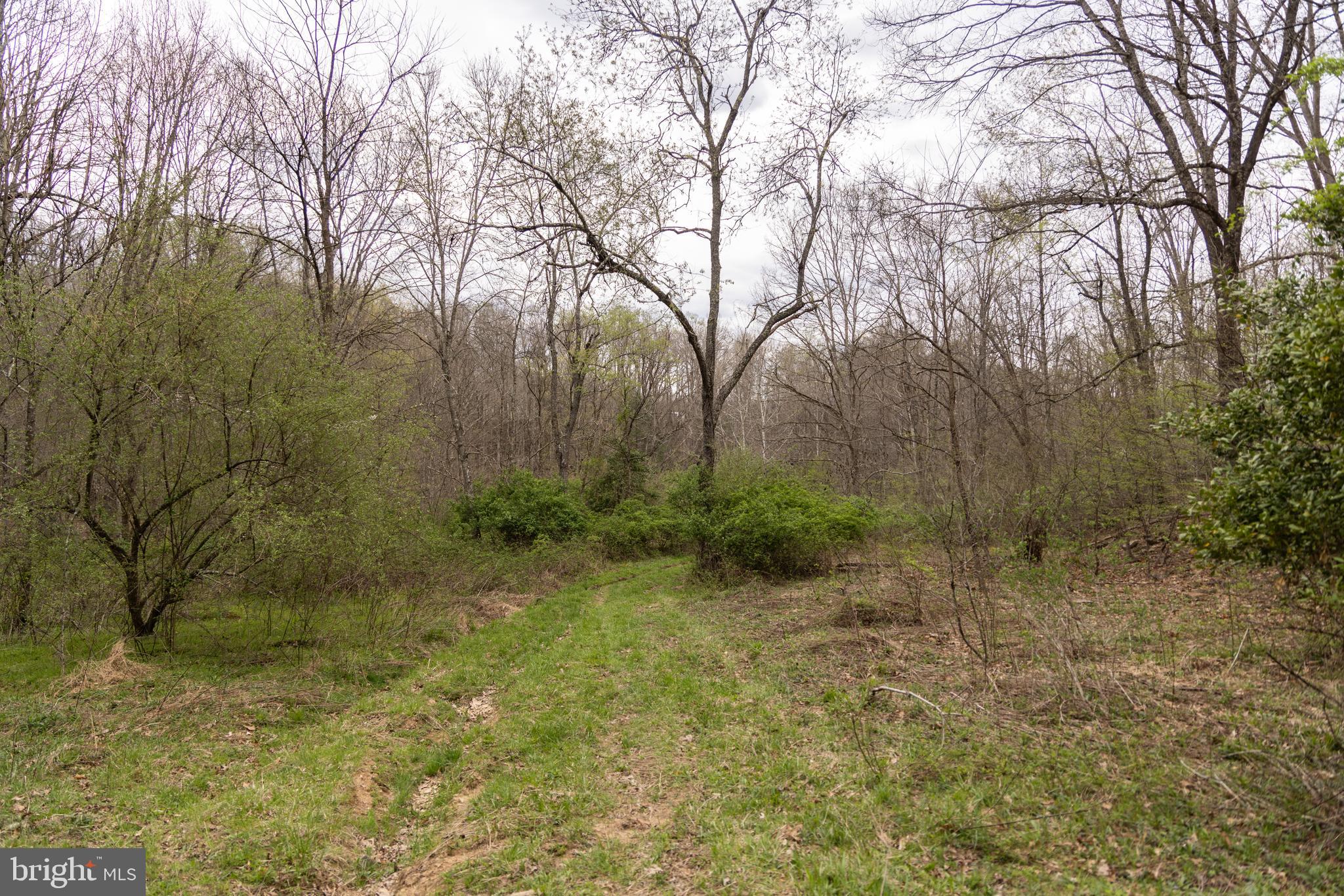 0 Pine Branch Road Glen Daniel, WV 25844 - Photo 8 of 26 a view of backyard with green space