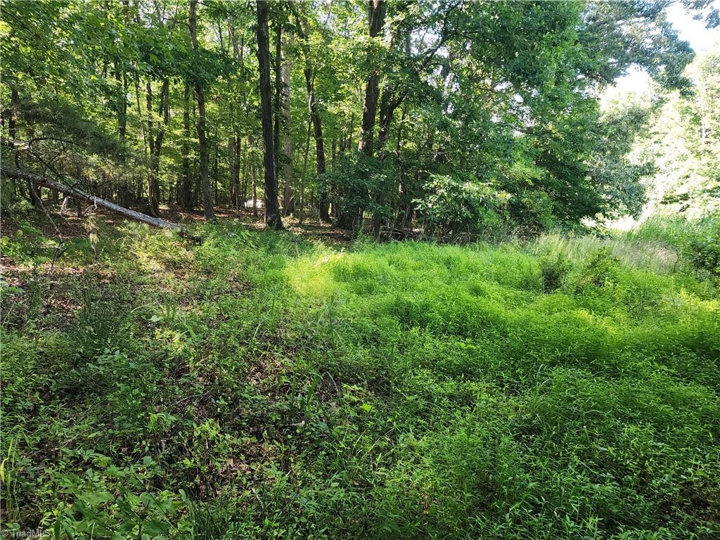 5500 Pisgah Covered Bridge Road Asheboro, NC 27205 - Photo 12 of 18