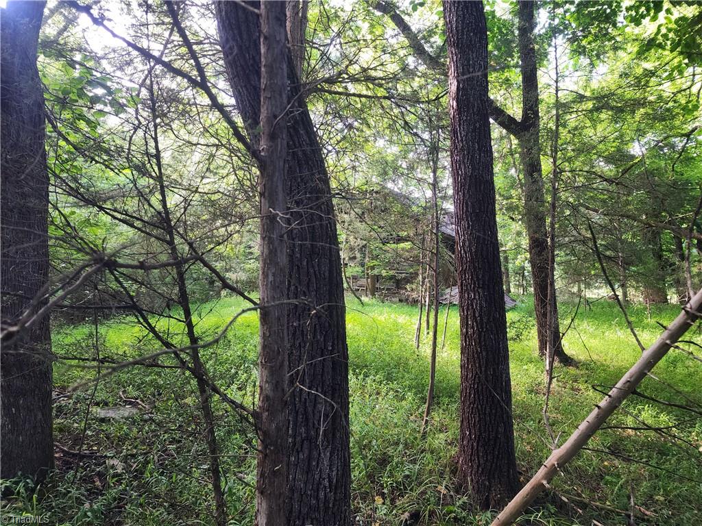 5500 Pisgah Covered Bridge Road Asheboro, NC 27205 - Photo 16 of 18