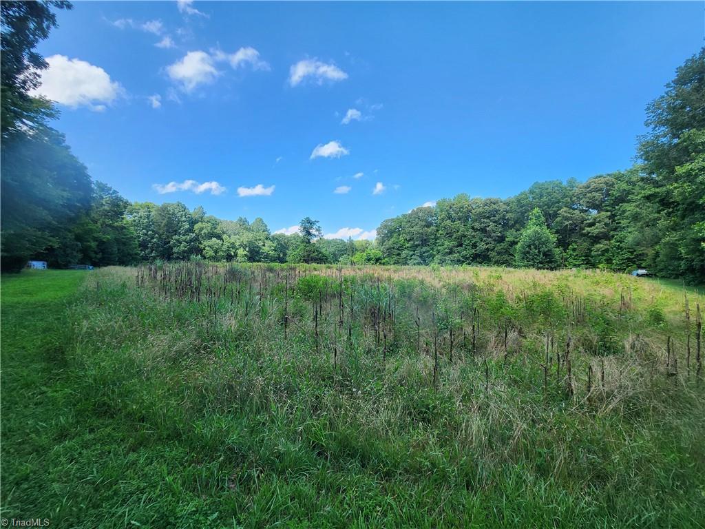 5500 Pisgah Covered Bridge Road Asheboro, NC 27205 - Photo 8 of 18 Clearing at middle parcel