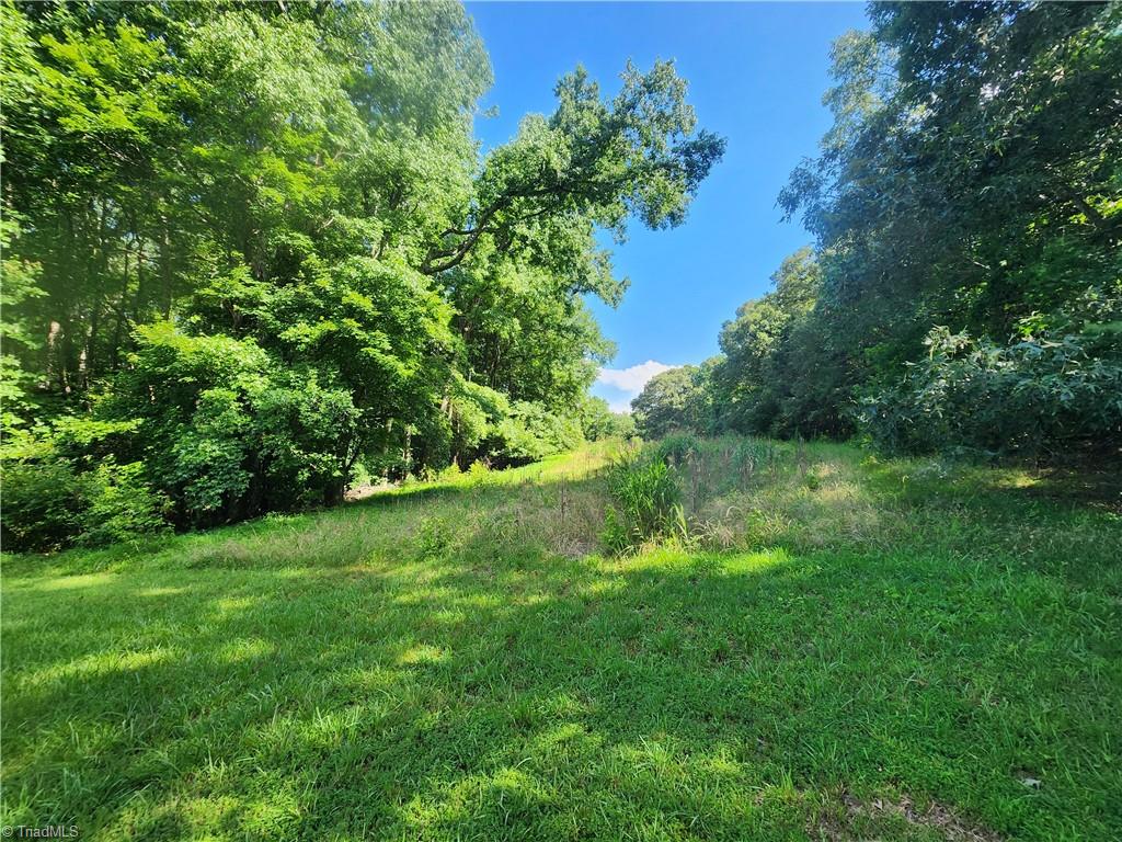 5500 Pisgah Covered Bridge Road Asheboro, NC 27205 - Photo 9 of 18 A peek at Paradise