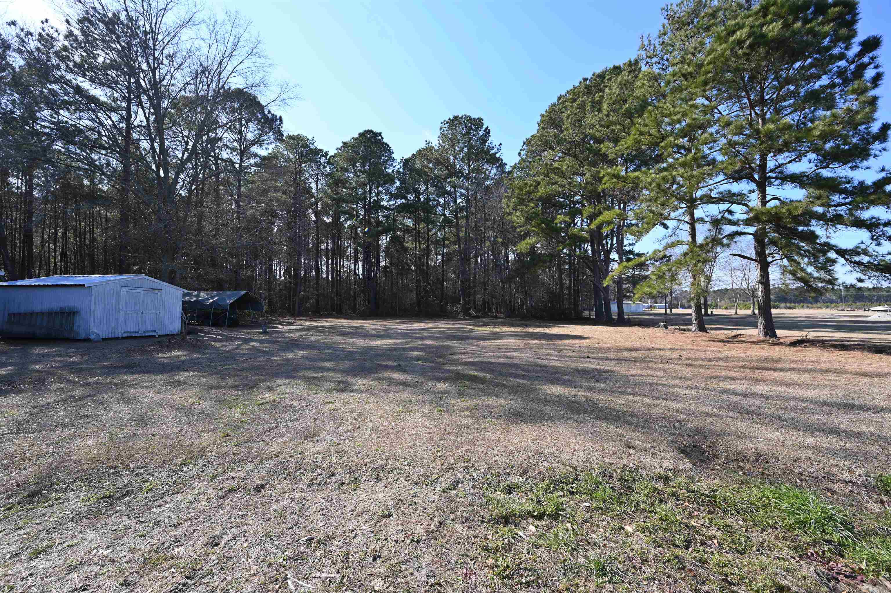 1631 Highway 646 Loris, SC 29569 - Photo 37 of 42