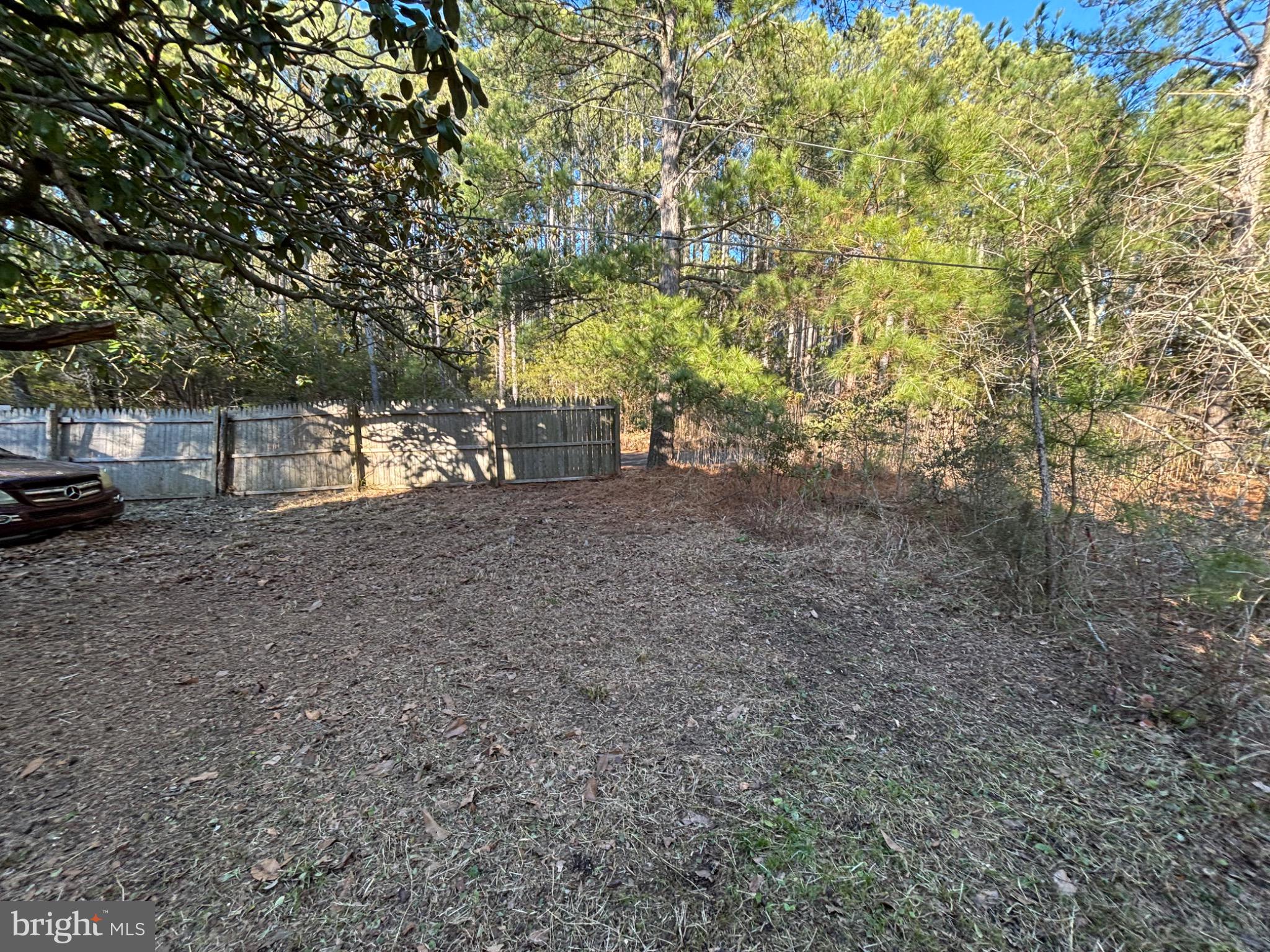 4695 Green Road Marion Station, MD 21838 - Photo 15 of 29 a view of dirt yard with a tree