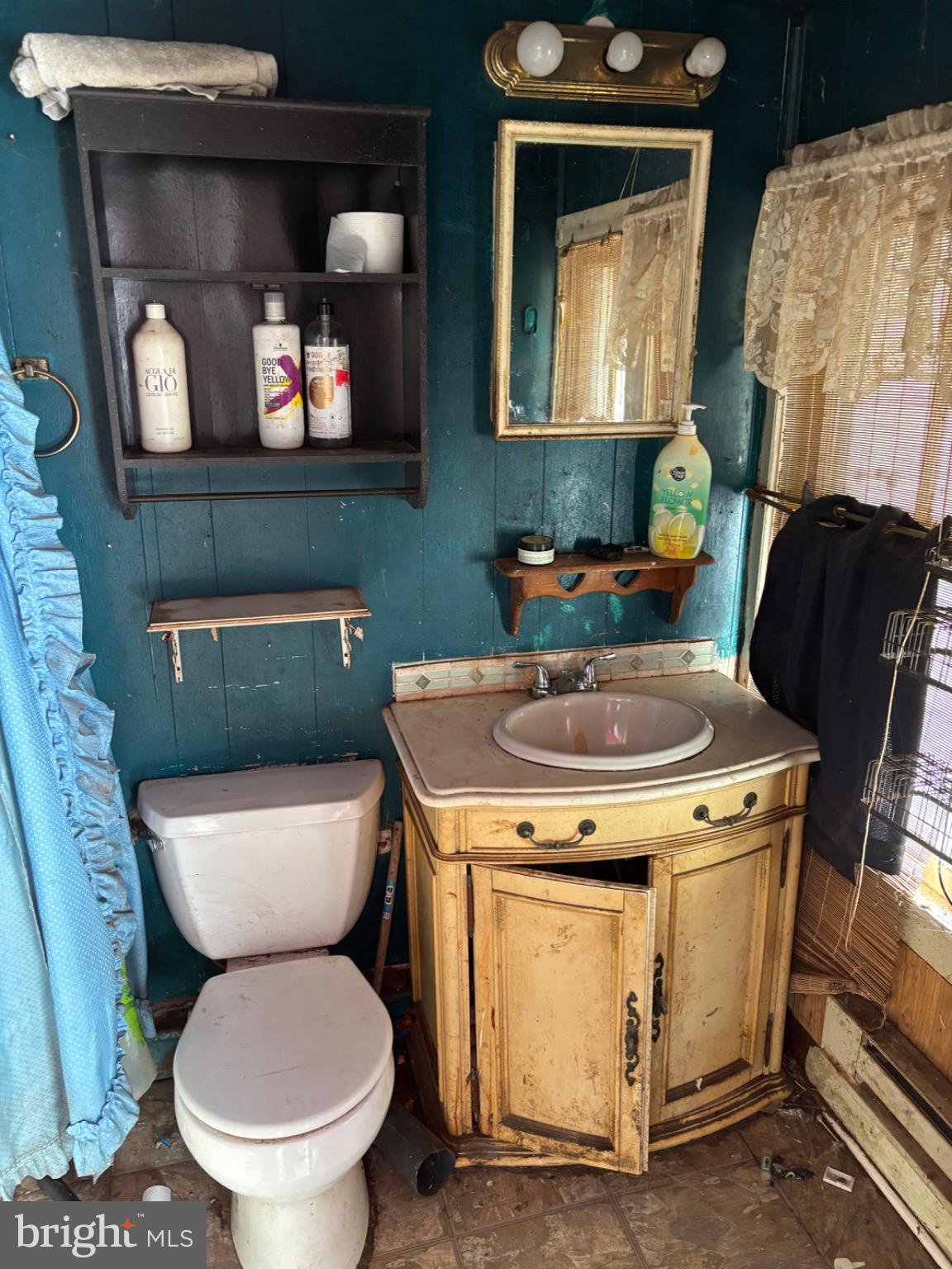 4695 Green Road Marion Station, MD 21838 - Photo 26 of 29 a bathroom with a toilet sink and mirror