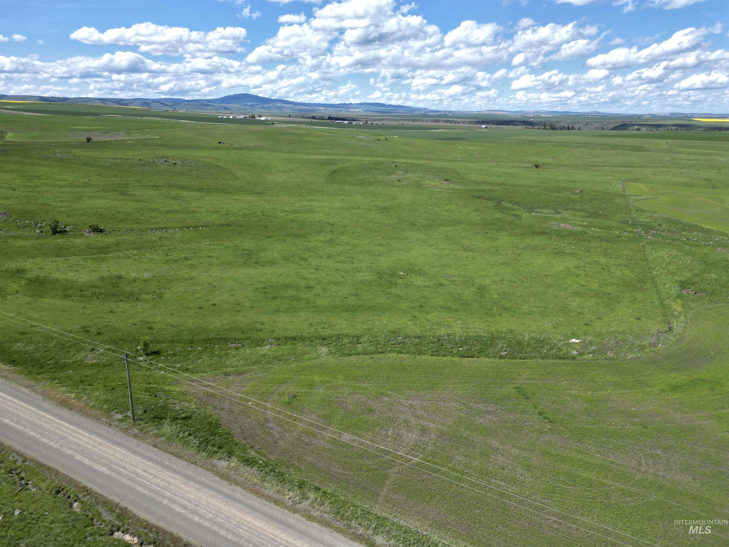 Lot 3 Gill Point Road Grangeville, ID 83530 - Photo 14 of 17