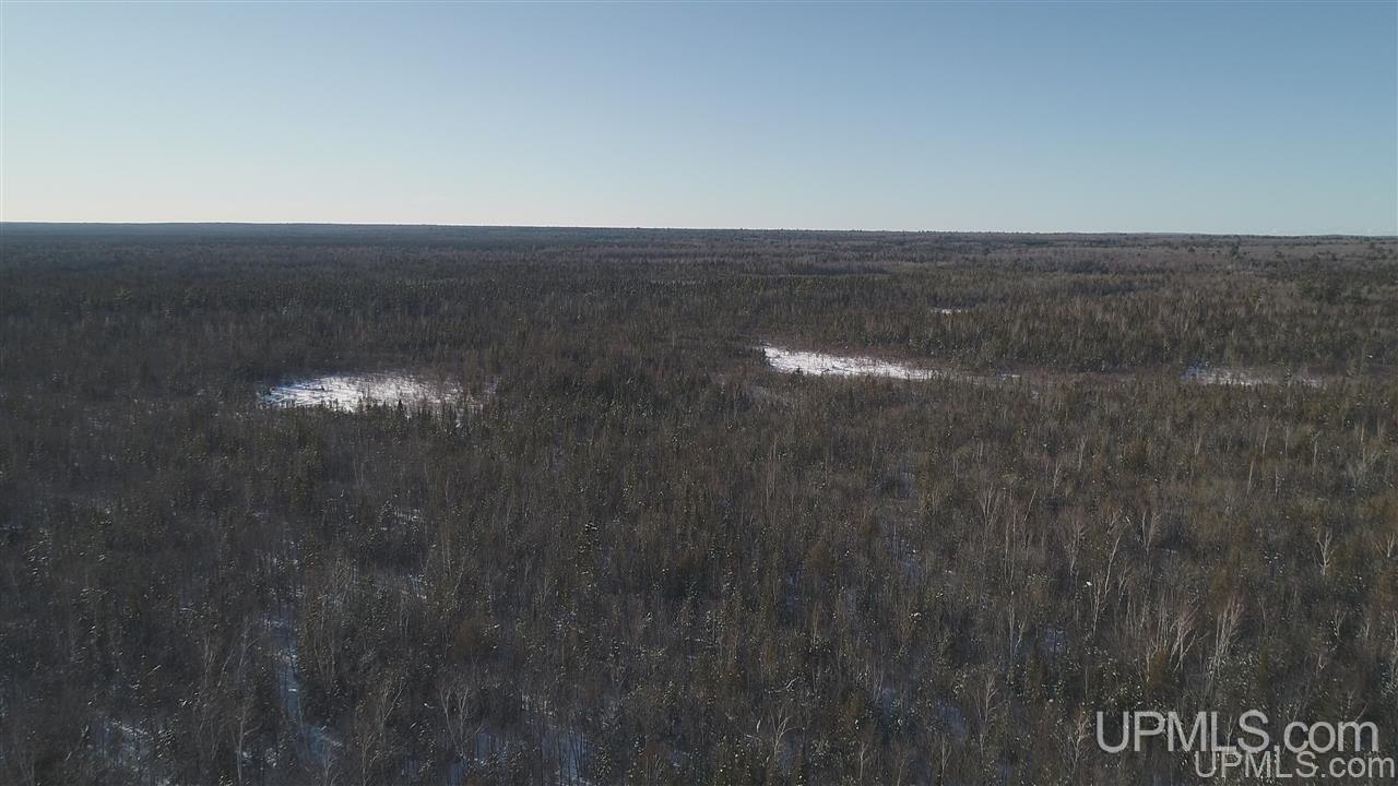 80-acres Co Rd N415 McMillan, MI 49853 - Photo 18 of 36
