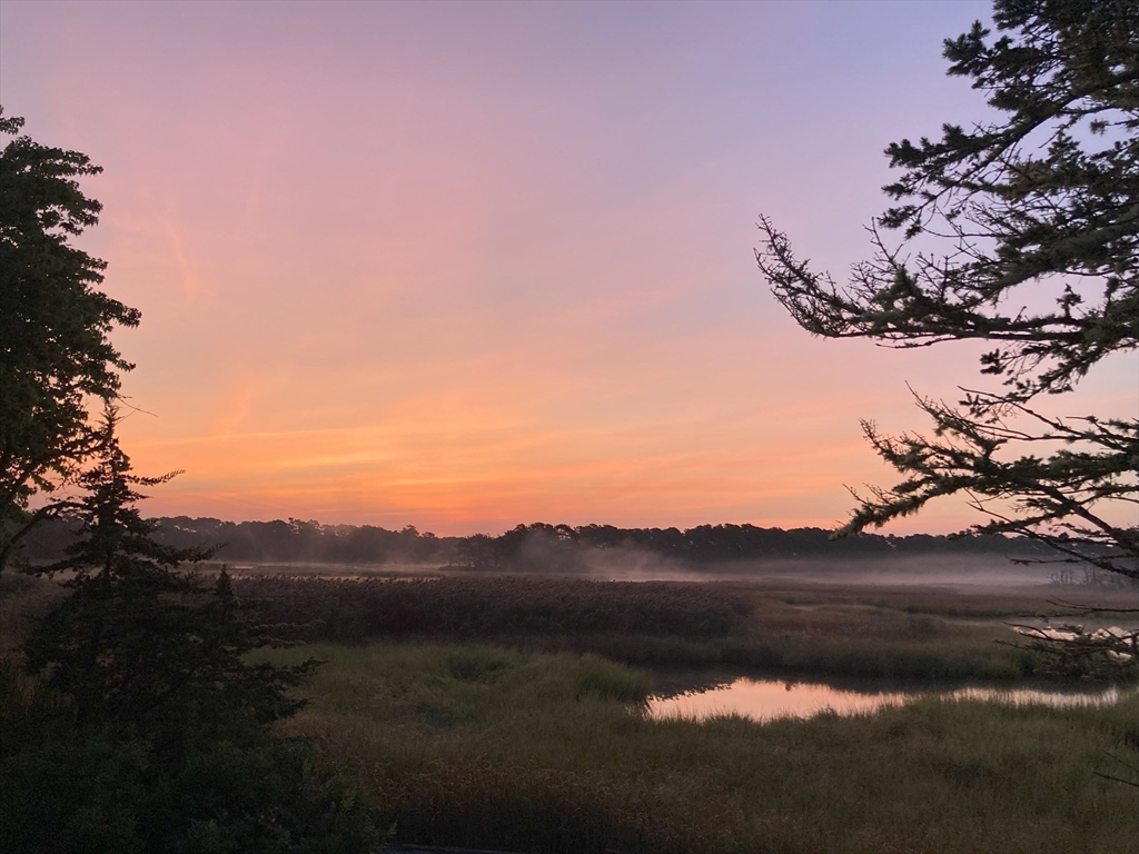 97 Bells Neck Road West Harwich, MA 02671 - Photo 39 of 41