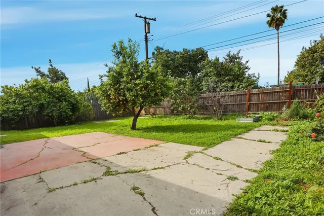 a view of a park with plants