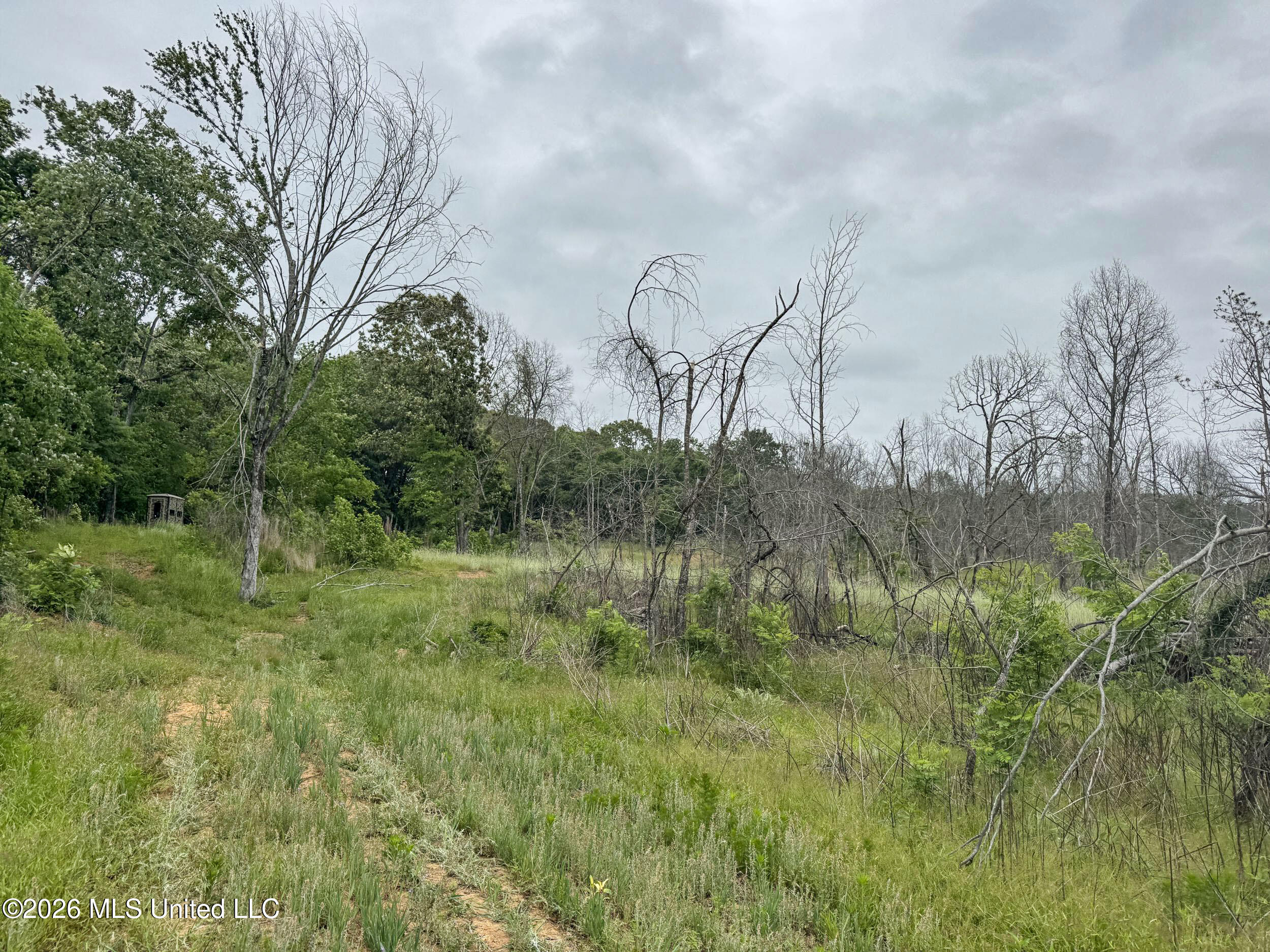 Wayne Massie Road Como, MS 38619 - Photo 175 of 184 5cdtbs125