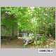 8017 Beacon Hill Road Indian Trail, NC 28079 - Photo 7 of 8 a view of a yard