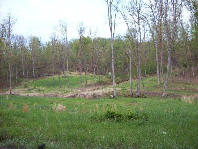 999 Cartersville Road Berea, KY 40403 - Photo 1 of 3 Photo 1