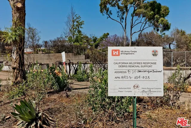 a view of a yard with a tree