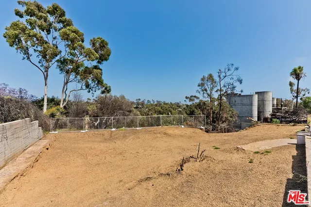 a view of yard with palm trees