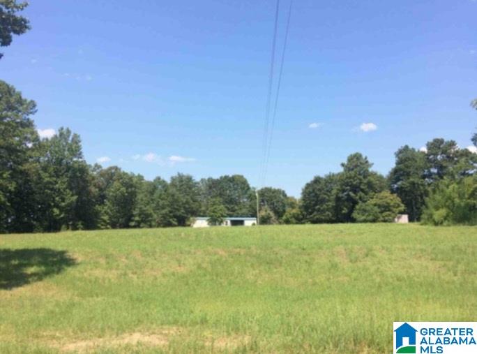 2446 Bone Dry Road Trafford, AL 35172 - Photo 1 of 8