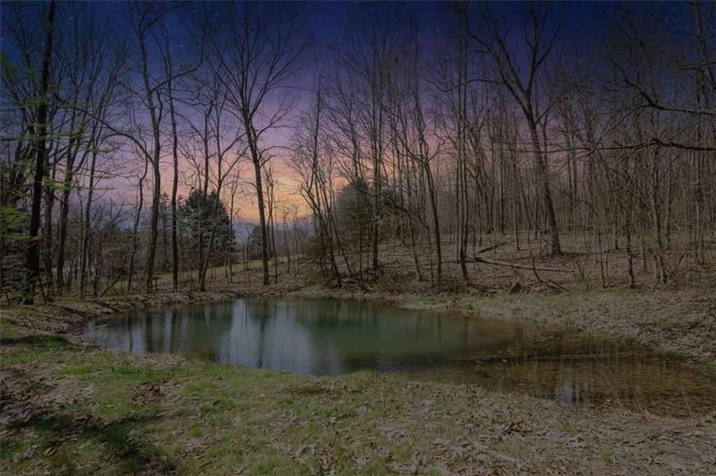 1478 Sinktown Road Home, PA 15747 - Photo 6 of 32