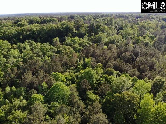 0 Macedonia Church Road Prosperity, SC 29127 - Photo 2 of 8